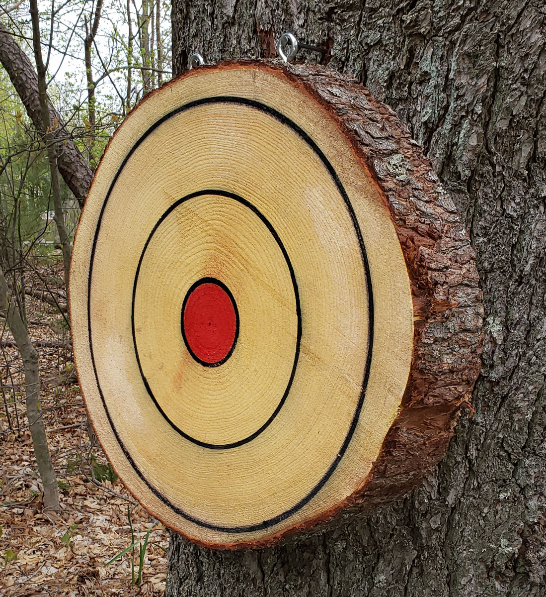 Axe Throwing Target